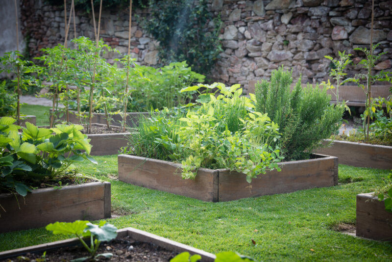 What to Grow in a Midwest Garden (What Works in Ours)
