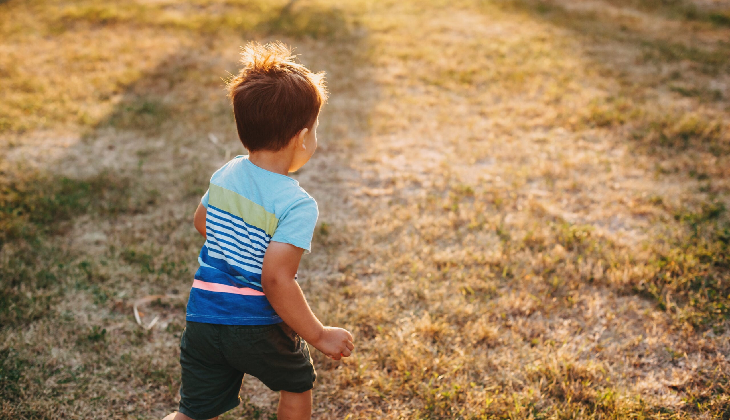 A young child seen from behind heading outside across the grass