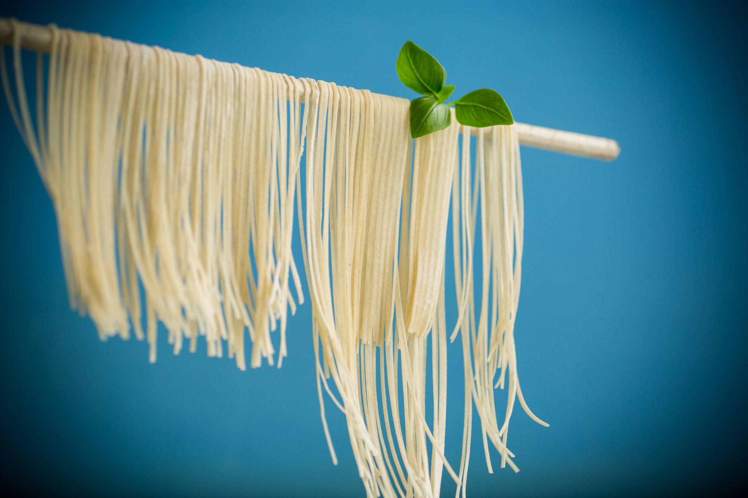 Thin homemade egg noodles drying on a floured surface before going into chicken noodle soup