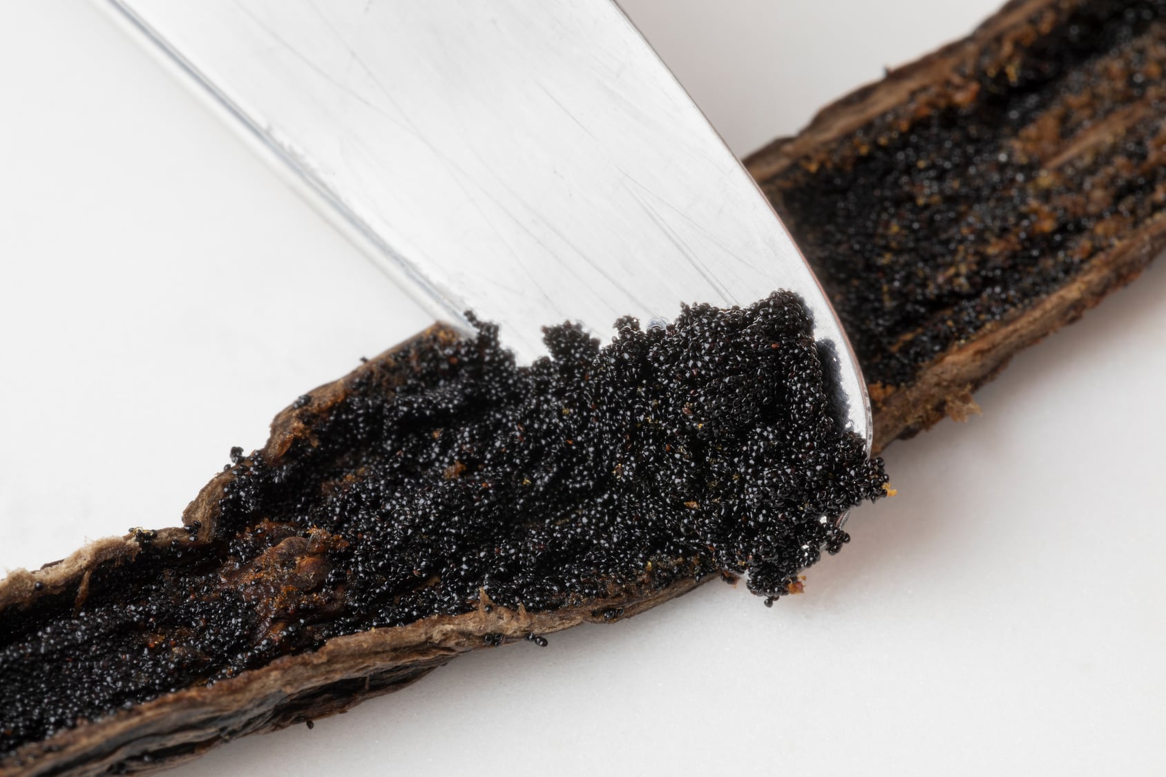 A split vanilla bean and its seeds on the tip of a paring knife