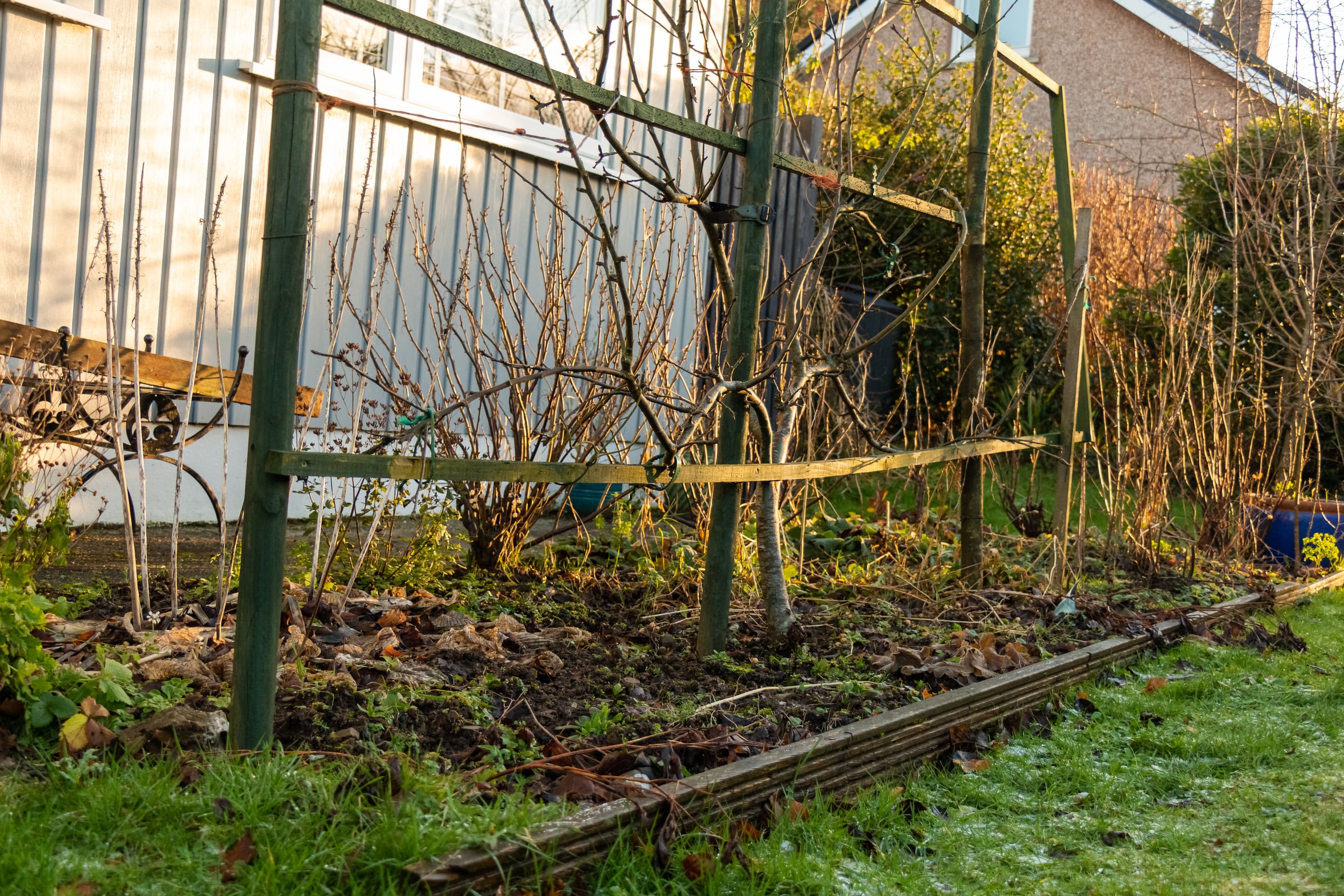 A frost-covered garden bed with spent plants left standing at the end of the season